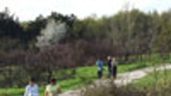 Mesto rokuje s vlastníkom o zámene lúky