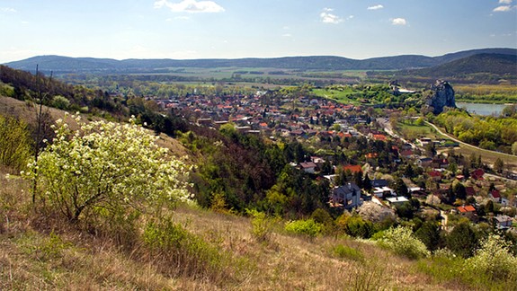 Bohatstvu Devínskej Kobyly hrozí podľa ochranárov zánik