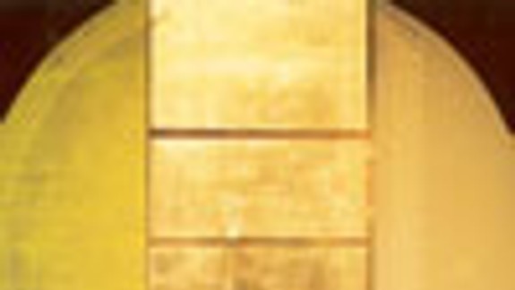 Medveďovej objekty a maľba v Zichyho paláci