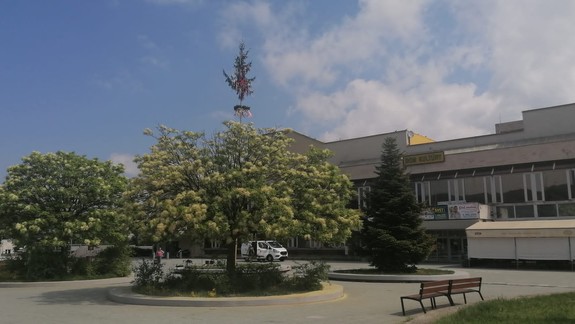 Maľovanie, tancovanie, maškrtenie: Najmenších Dúbravčanov čaká veselá májovačka, tancovačka pre dospelých