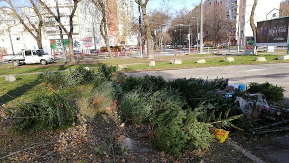 FOTO a VIDEO: Nepredané vianočné stromčeky stále ležia na uliciach