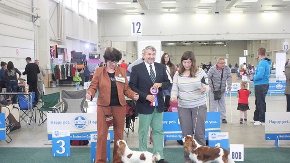 Máte radi psy? Bratislavu čaká pestrý kynologický víkend