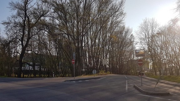 VIDEO: Vystrašená srnka uviazla medzi rušnými cestami pri Auparku. Ako to dopadlo?