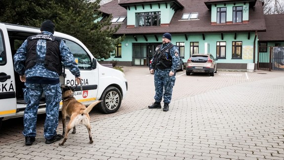 Nechajme zvieratá žiť,  apelujú na ľudí viaceré organizácie