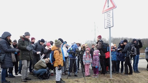 Krása prírody v okolí Bratislavy: Orliaky zaujali stovky ľudí
