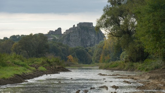 Morava pri Devínskej ožíva, Rakúšania tu budujú dvojkilometrové rameno