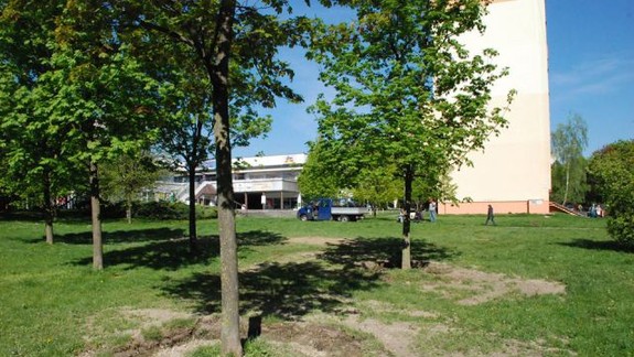 Stromy iba presadili, ale nevyrúbali