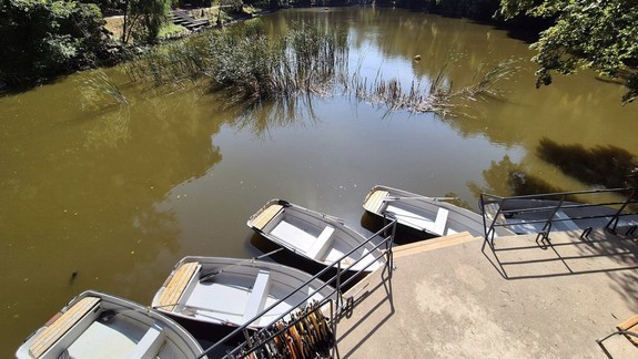 Mestské lesy vracajú tradíciu člnkovania na Železnú studničku