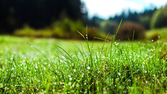 Top trendy ako sa na jar starať o vašu záhradu