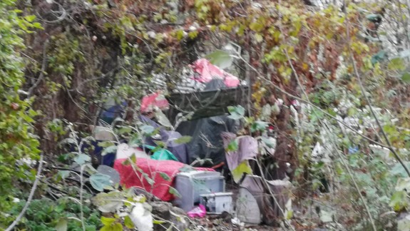 Dobrovoľníci vyzbierali v chránených lužných lesoch Bratislavy 340 kg odpadu