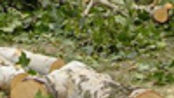 Pod Klingerkou číha časovaná bomba