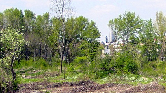 Aj pre Pečniansky les chce mesto do správy štátne lesy