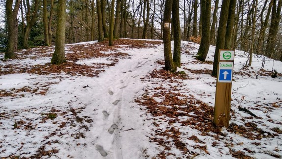V mestských lesoch nad Račou chce súkromník stavať lyžiarske vleky. Čo hovoríte na jeho nápad?