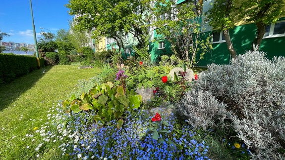 FOTO Nádhera pred panelákom: To nie je predzáhradka, to je záhrada lahodiaca oku