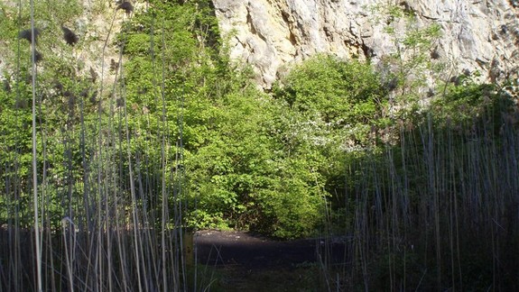 Problém gudrónov v Devínskej rieši aj nový minister