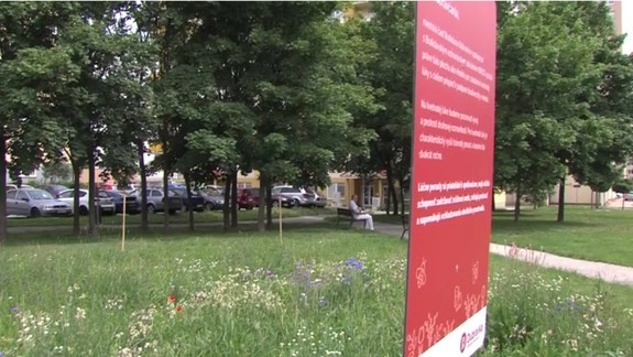 Dúbravka pokračuje v projekte kvitnúcich lúk, špeciálne ich označila