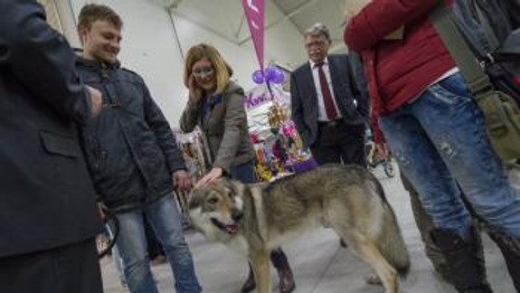 Na slovenské plemená psov bola zvedavá aj ministerka pôdohospodárstva