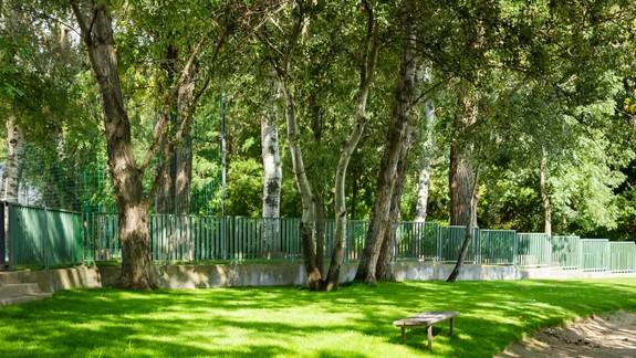 Veľký Draždiak sa zazelenal. Vďaka patrí petržalským makačom