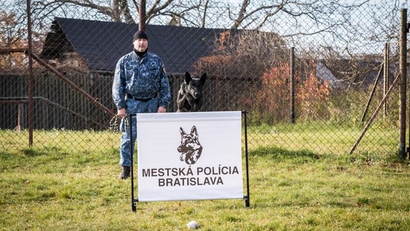 Mestská polícia pozýva fanúšikov: Čakajú vás hybridné policajné autá, zásahová jednotka či ukážky práce so psami