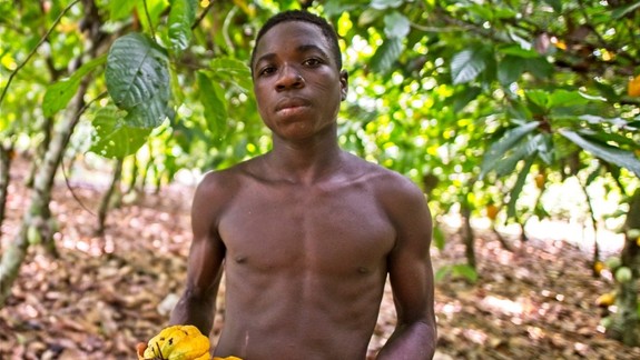 Parčík v Karlovej Vsi bude hostiť výstavu fotografií o pestovateľoch z Pobrežia Slonoviny