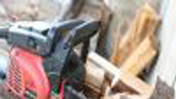 Drevorubači sú obeťou útokov ochranárov 