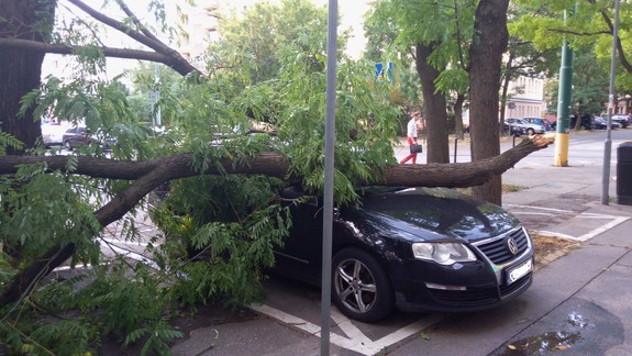 Varovanie, popoludní nevychádzajte do ulíc, vyhnite sa parkom a stromom! Na Bratislavu udrie silný vietor