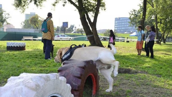 Ďalší nový výbeh na 23 ároch pre psov v Petržalke bude pri Panónskej