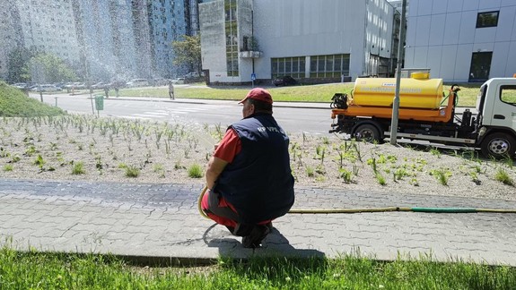 FOTO Viete, kde nájdete prvú ružinovskú dažďovú záhradu?