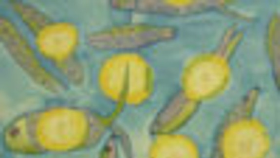 Na Školskej je výstava Maľba na hodváb