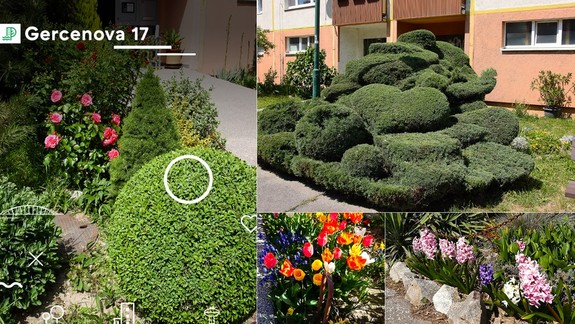 Petržalka hľadá opäť najkrajšie predzáhradky