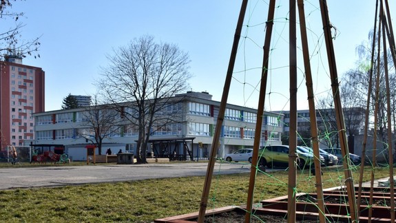 Do školských areálov v Novom Meste pribudnú desiatky nových stromov