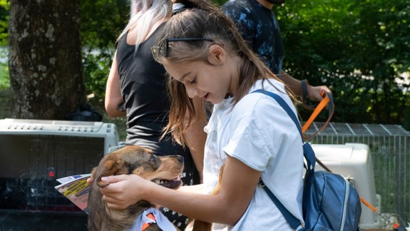 Podujatie Nájdite sa... je tu opäť. Zvieratá z útulkov si budú v sobotu hľadať nových majiteľov