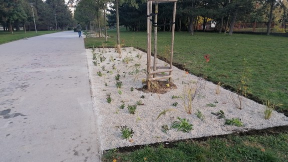 V Ružinove za deň vyrástli nové záhony