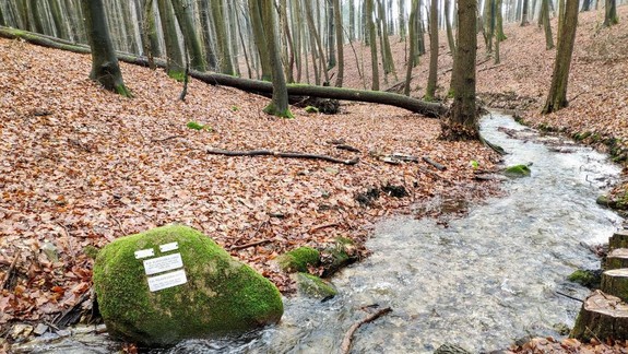 Tip na zimný výlet: Vyberte sa chodníčkami čarovného údolia potoka Vydrice