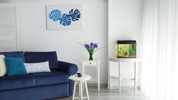 7 praktických tipov, ako správne a bezpečne umiestniť akvárium