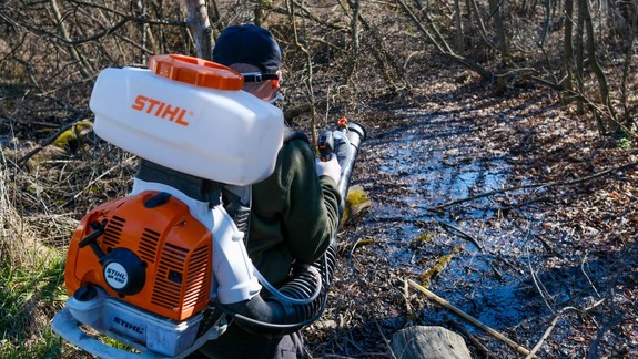 Mesto spustilo zásahy proti komárom, likviduje larvy