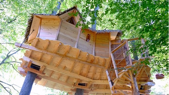 Domčeky na strome sa stali vyhľadávanou atrakciou, ubytovali sa tu i turisti z Hong Kongu