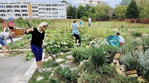 Chcete pred panelákom pergolu a lavičky? Požiadajte mesto o peniaze