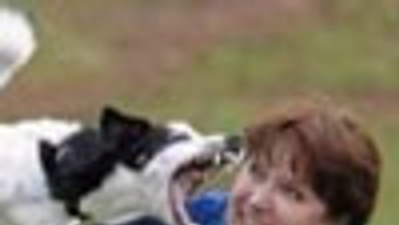 Psy otravujú a skáču aj po cudzích ľuďoch