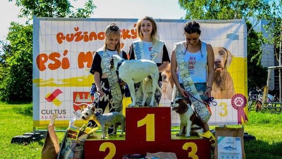 V Ružinove budú cez víkend opäť hľadať psov s prívlastkom NAJ!