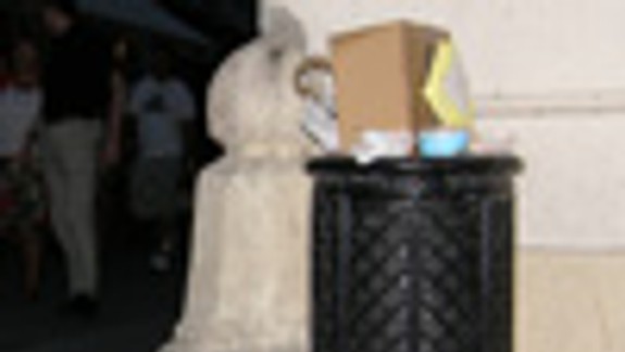 Problémom sú koše aj disciplína ľudí 