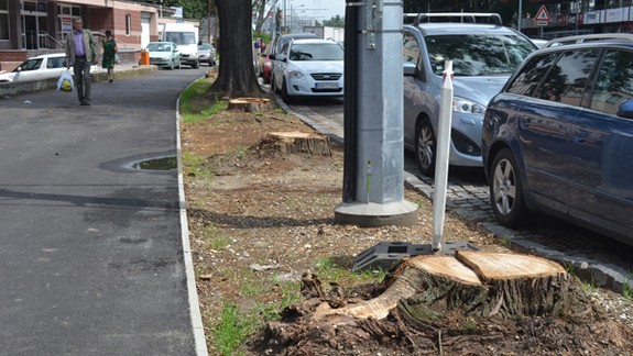 Ružinov mohol stromy na Trenčianskej ulici zachrániť