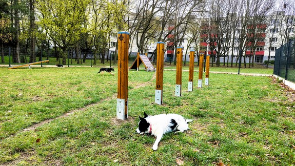 V tomto výbehu pre psov si po novom užije váš štvornohý priateľ viac zábavy