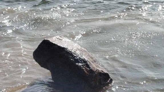 Vodohospodári vytvárajú na Dunaji ostrovy, na ktorých budú hniezdiť vtáky