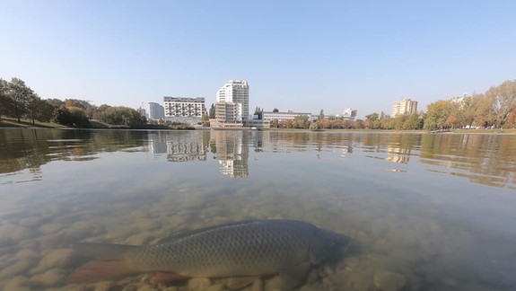 Ružinov môže získať väčšinu pozemkov v okolí Štrkoveckého jazera - kto to ešte musí schváliť?