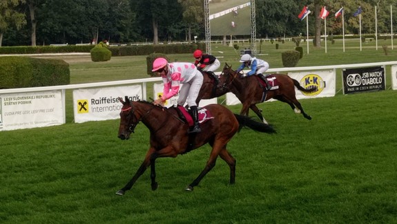 Dostihy: Víťazom klasiky Slovenské Oaks sa stala Francis Gold s džokejom Foretom