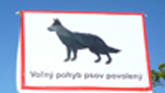 Trápna (úmyselná?) neznalosť zákona, alebo ako je to s voľným pohybom psov