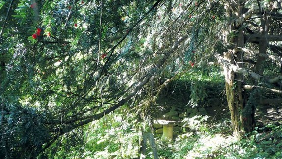 Kochova záhrada nemá byť chránená