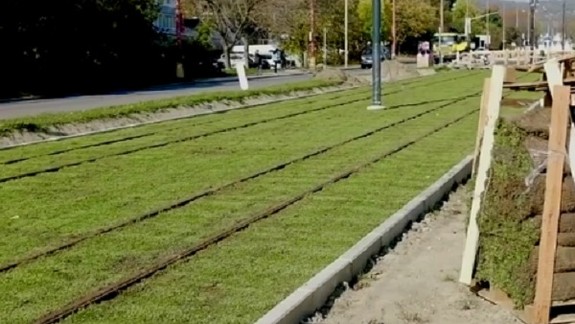 Karloveská radiála sa zazelenala, nejde však o trávnik