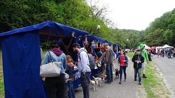 VIDEO: Odštartoval Karloveský majáles – pripravený je bohatý program až do neskorého večera!